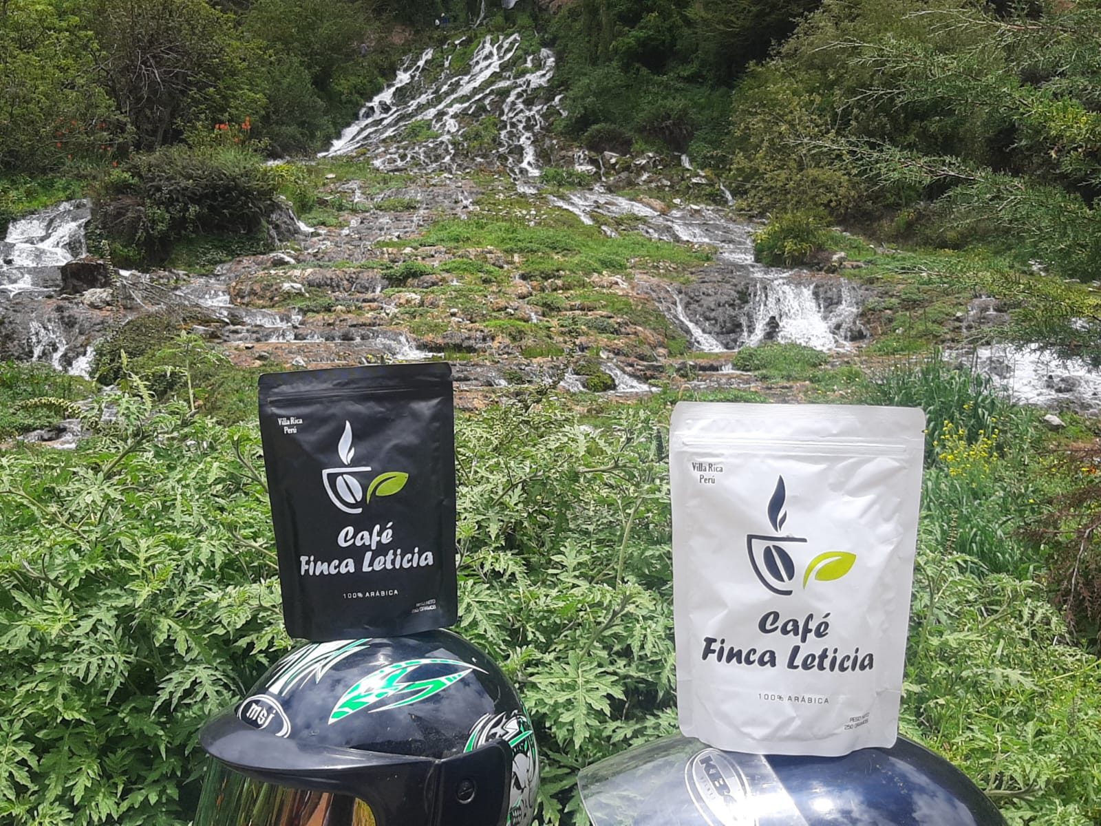 Finca Leticia